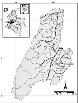 Fig.  1:  location  of  the  study  area,  foci  of  Cunday-Villarica,  Depart- Depart-ment of Tolima, Colombia