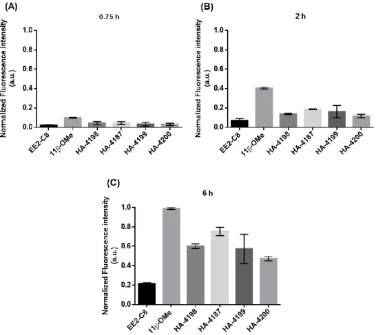 Figure 3.7 - Normalized fluorescence intensity of PC-3 cells incubated for (A) 0.75 h, (B) 2 h and (C)  6 h with steroid-BODIPY conjugates