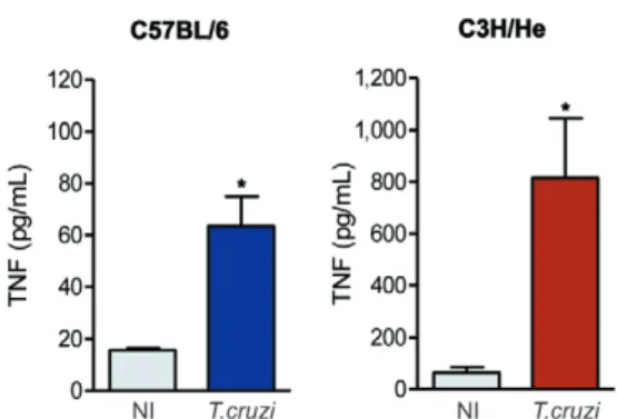 Fig. 7: Trypanosoma cruzi infection increased nitric oxide (NO) levels  in the serum. Concentrations of nitrate/nitrite were measured in the  serum of non-infected (NI) and T