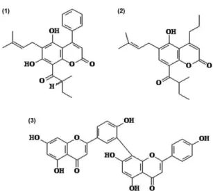 Fig. 1: pure compounds isolated from leaves of Calophyllum brasiliense: 