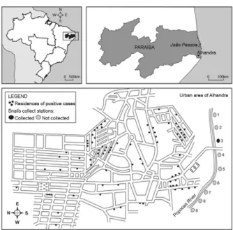 Fig. 2: sharp decrease the prevalence of schistosomiasis in Alhandra,  state of Paraíba, Brazil, from 1977-1979, mainly due to mass treatment  from the Special Program of Schistosomiasis Control and gradually  decrease of prevalence from 1982-2010 due to s