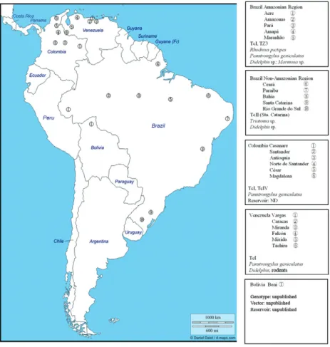 Fig. 1: geographical distribution of oral transmitted Chagas disease outbreaks occurred in America: Brazil Amazonian Region [1: Acre (SVS  2011); 2: Amazonas (SVS 2011); 3: Pará (Valente et al