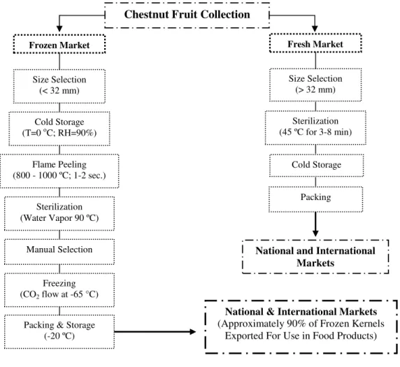 Figure 1.9 - Diagram representing the chestnut fruit processing. 
