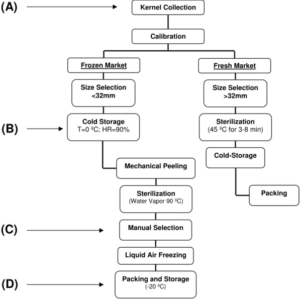 Figure 2.1 -  Schematic representation of the industrial processing steps for frozen  and fresh chestnut kernels