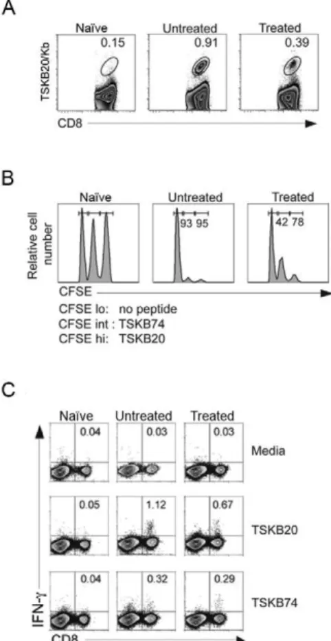 Fig. 4: functional effector T cell responses in Trypanosoma cruzi-in- cruzi-in-fected and cured mice in the late stages of the infection