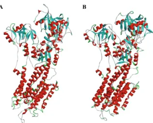 Fig.  1:  three-dimensional  structure  of  the  mammalian  Ca 2+ -ATPase  1IWO (A) and parasite PfATP6 model (B).
