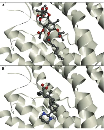 Fig. 2: interactions of thapsigargin (A) and ent-kaurane diterpene 21  (B) with the PfATP6 binding site.