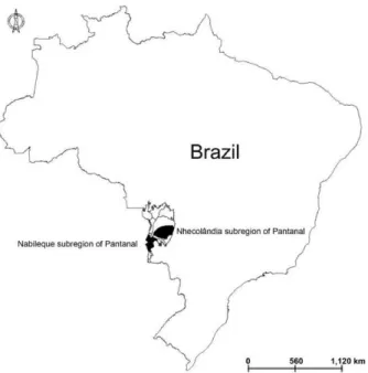 Fig.  1:  subregions  of  Nhecolândia  and  Nabileque  of  the  Pantanal  where an alphavirus serosurvey was conducted in equids, sheep and  free-ranging caimans in 2009, 2010 and 2011.