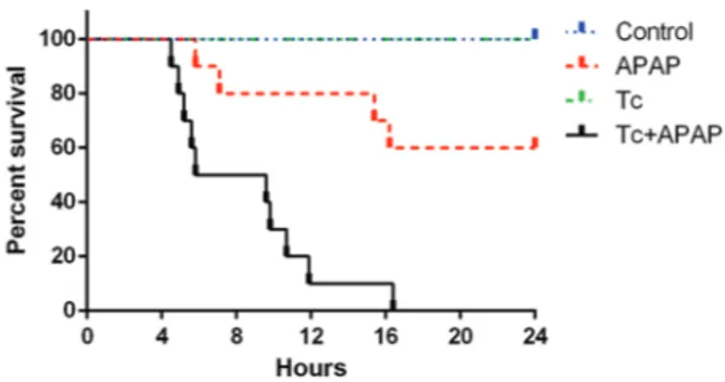 Fig. 1: Kaplan-Meier curves showing percent survival of Taenia  crassiceps-infected mice following an overdose of acetaminophen