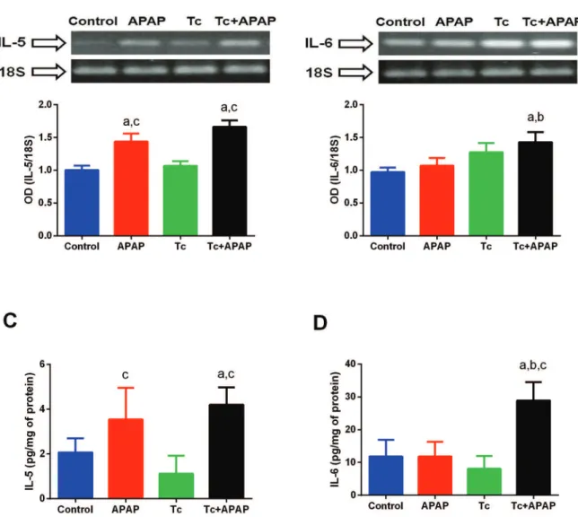 Fig. 6: quantification of mRNA and protein levels of IL-5 and IL-6 in liver tissue of Taenia crassiceps-infected mice following acetaminophen  (APAP) overdose