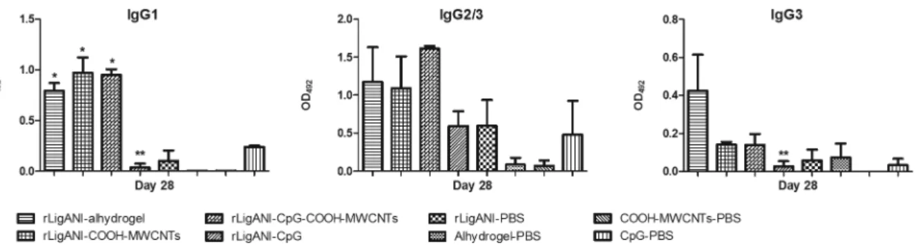 Fig. 3: isotyping of anti-rLigANI IgG subclasses. The data represent the difference between mean absorbance of hamster sera collected at day  28 and mean absorbance of hamster pre-immune sera at day 0