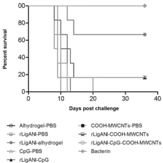 Fig. 4: survival of hamsters immunised with LigANI vaccines after  challenge. Percentage survival conferred by rLigANI-Alhydrogel and  bacterin against lethal challenge was significant (p &lt; 0.05) in  com-parison to negative control group