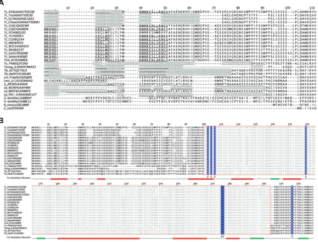 Fig. 1: multiple alignment-using Geneious (geneious.com) and Cobalt (ncbi.nlm.nih.gov/tools/cobalt/) - of the deduced type I nitroreductase  (NTR) amino acid sequences from trypanosomatids, other protozoa, and bacteria (sequences shown in Supplementary dat