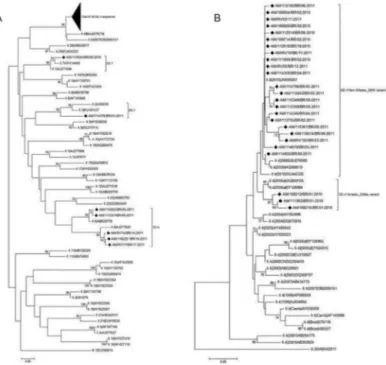 Fig. 2: phylogenetic analyses of norovirus GII sequences obtained from children with diarrhoea from Manaus, Brazil, between January 2010  and December 2011, based on a 253 bp region within the capsid