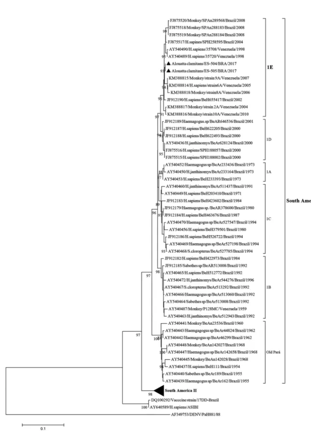 Fig. 2: phylogenetic analysis based on the prM/E junction region of yellow fever virus (YFV) strains analysed in the current study and 71 YFV  sequences retrieved from the National Centre for Biotechnology Information (NCBI)