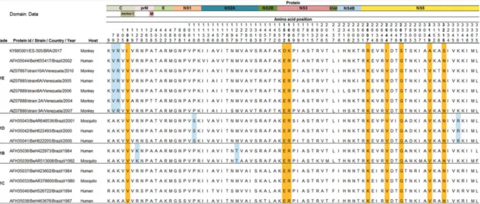 Fig. 3: amino acid (aa) differences revealed by the alignment of the precursor polyproteins of 16 Brazilian and Venezuelan yellow fever (YF)  viruses detected since 1980