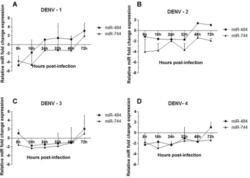 Fig. 4: miR-484 and miR-744 expression levels are downregulated in Dengue virus (DENV)-infected Vero cells