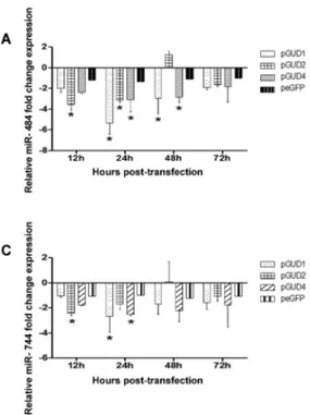 Fig. 5 miR-484 and miR-744 expression is downregulated in Vero cells  expressing the Dengue virus (DENV) 3′ UTR