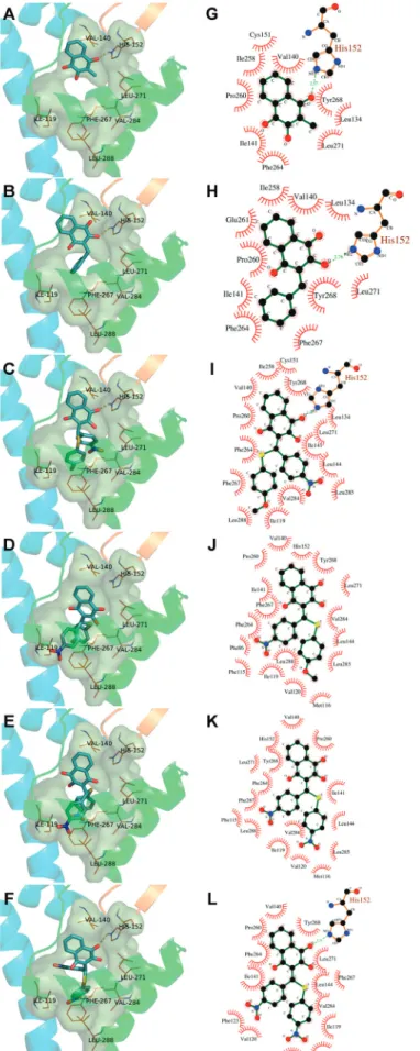 Fig. 6: proposed binding modes for the atovaquone analogues 1, 3, 33R, 33S, 37R, and 37S in the Q o  site in Plasmodium falciparum bc 1 