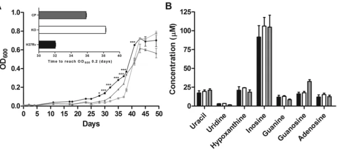 Fig. 3: in vitro characterisation of iunH knockout strain. Growth curve of WT (circle), KO for iunH gene (square), and CP (triangle) Mycobacte- Mycobacte-rium tuberculosis  strains grown in Sauton’s medium (A); to start growth curves the different strains 