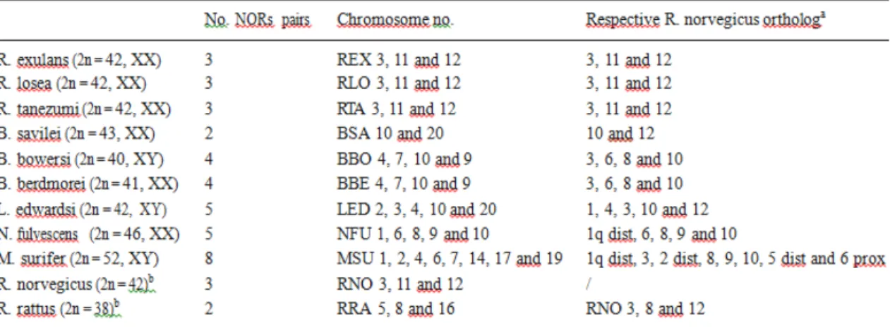Fig.  2   Multiple alignment of four  Rattus  sat  I  DNA  sequences  (238  bp)  displaying significant homology  by  ClustalW