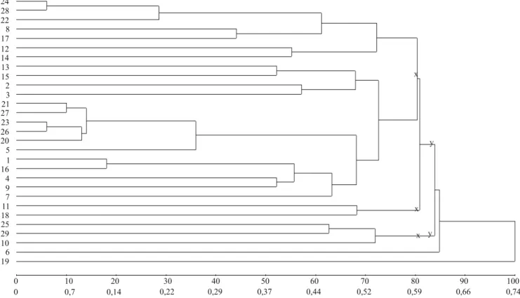 Figura 1.  Definição de dois (letra y) e três (letra x) subgrupos de genótipos com máxima similaridade, a partir do Grupo 1  de 29 genótipos de soja.