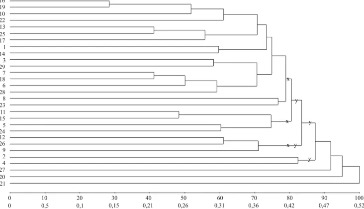 Figura 2.  Definição de dois (letra y) e três (letra x) subgrupos de genótipos com máxima dissimilaridade, a partir do Grupo  1 de 29 genótipos de soja.