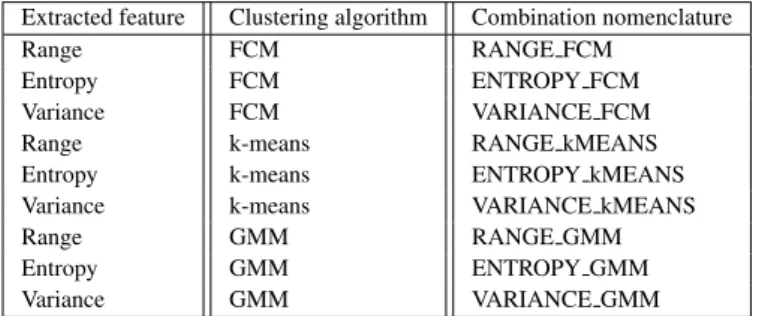 Tab. 1: Nomenclature used to denominate the variations of the proposed segmentation framework.