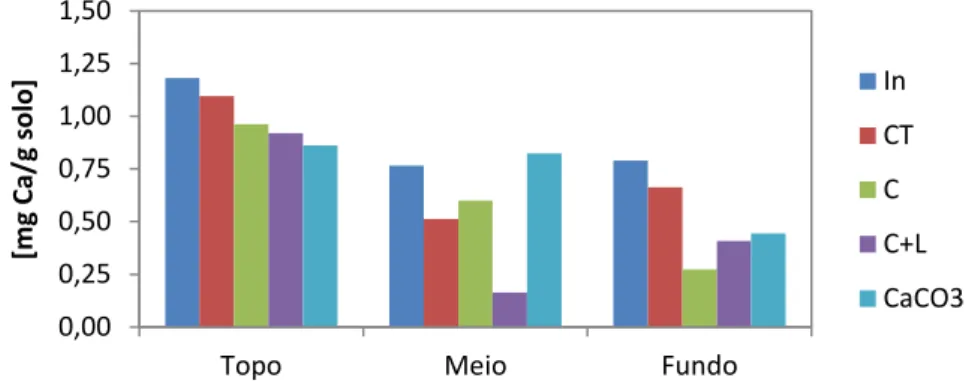 Figura 74. Fração mássica de Ca no solo inicial e nos perfis de solo tratado (Podzol - 7,5 ton.ha -1  - E