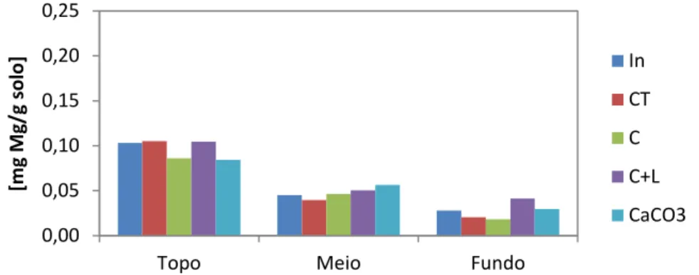 Figura 76. Fração mássica de Mg no solo inicial e nos perfis de solo tratado (Podzol - 7,5 ton.ha -1  - E