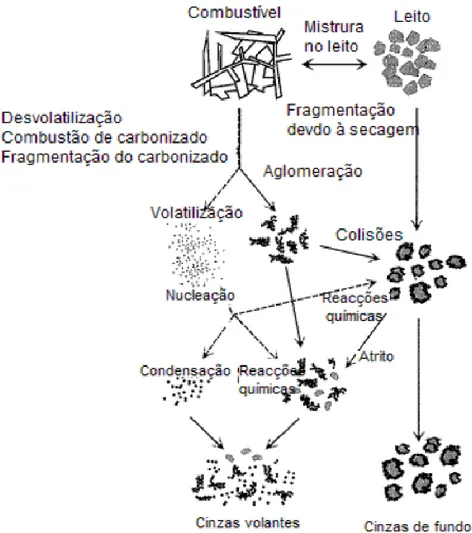 Figura 1. Principais mecanismos de formação de cinzas num processo de combustão de biomassa em leito  fluidizado