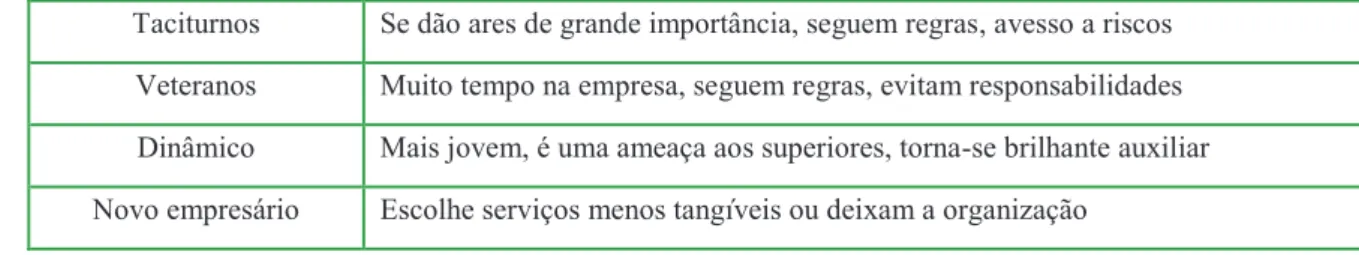 Figura 11 – Tipos de executivos 