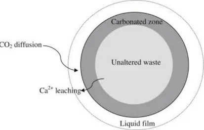 Figura 7 - Mecanismo da reação de carbonatação acelerada (Lim et al., 2010). 