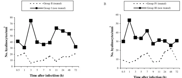 Fig. 2: average number of circulating hyalinocytes in A: uninfected Biomphalaria  glabrata; B: B