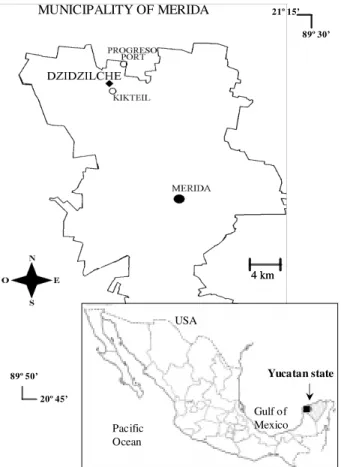 Fig. 1: map of the study area, Dzidzilché in the northwest of the State of Yucatán, México.