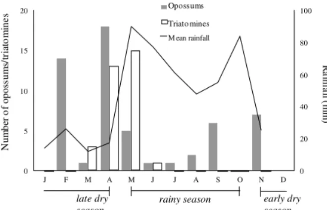 Fig. 4: monthly distribution of the capture of opossums (Didelphis virginiana) and triatomines (Triatoma dimidiata) infected by  Try-panosoma cruzi in Dzidzilché, Yucatán, México from April 1996 to May 1998 in relation to season.