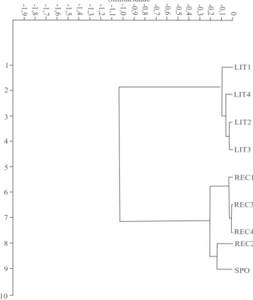 Figura 2. Análise de agrupamento de populações de Xylella  fastidiosa das regiões do Recôncavo Sul (REC1 a REC4)  e do Litoral Norte (LIT1 a LIT4) do Estado da Bahia, com  base  no  índice  de  similaridade  genética  de  Nei  (1978),  obtido a partir de m