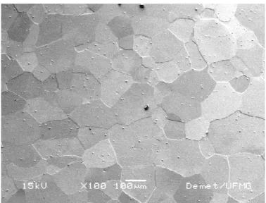 Figura 5.2 - Microestrutura do metal base observada por microscopia eletrônica de  varredura - aumento 100X