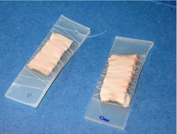 Figura 4-3 - Opção de fixação do tecido biológico à placa de silicone com linha 