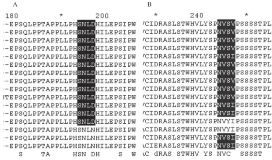 Fig. 1: potential protein domain analysis: loss of CK2-phosphorylation (A) and N-glycosylation (B) sites because of the D197N and (S246Y and V247I) mutations, respectively.