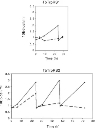 Fig. 1: growth of tetracyclin induced (dotted line) and non-induced (solid line) TbTrpRS1 and 2 RNAi strains of Trypanosoma brucei 29-13 cells.