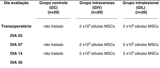 Tabela  1.  Distribuição  dos  três  grupos  de  experimentação.  Foram  realizadas  avaliações    macroscópicas  e  coleta  de  amostras  no  terceiro,  sétimo,  14  e  30  dias  do   pós-operatório 
