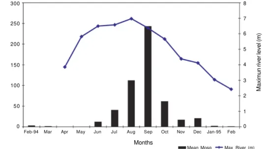 Fig. 5: mean number of Anopheles darlingi caught monthly and maximum river level (m).