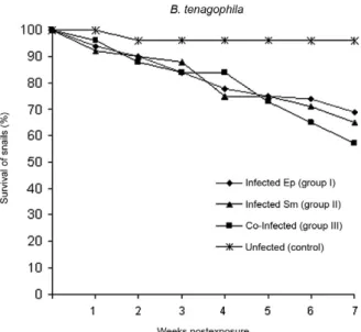 Fig. 1: survival rates of Biomphalaria tenagophila Taim lineage (n =  49) after exposure to 10 miracidia of Echinostoma paraensei (Ep) (♦),  10  miracidia  of  Schistosoma  mansoni (Sm) (▲), 10 miracidia of  E