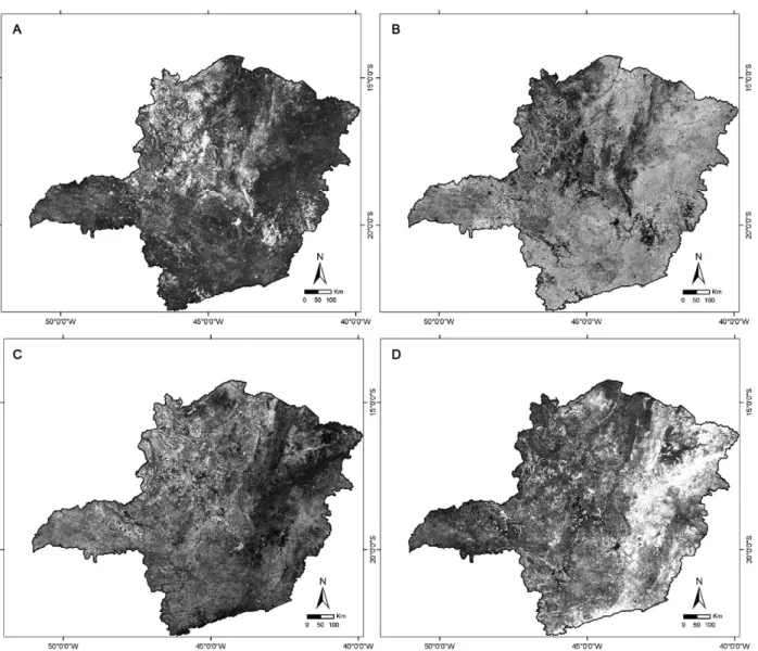 Fig. 4: similar behavior, however inverse, in the soil fraction image (A) and in Normalized Difference Vegetation Index (NDVI) (B) of January/2002  and the soil fraction image (C) and in NDVI (D) of July/2002.