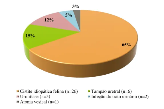 Gráfico  1  –  Distribuição  percentual  das  etiologias  da  DTUIF  diagnosticadas  na  população  felina  no  período  referente a este estudo 
