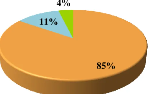 Gráfico 2 – Distribuição percentual da raça da população felina contemplada no estudo 