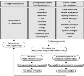 Fig. 1: determinants of human malaria. The susceptibility to Plasmo- Plasmo-dium  infection  results  from  a  complex  combination  of  factors  from  the host, parasite and environment