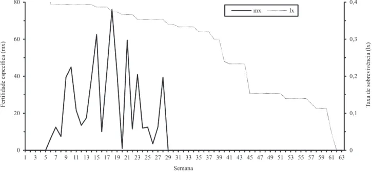 Figura 1.  Fertilidade  especíica  e  taxa  de  sobrevivência  de  broca‑do‑morangueiro  (Lobiopa insularis) criada em dieta  artiicial, em condições de laboratório (temperatura de 25±1ºC, umidade relativa de 70±10% e fotofase de 12 horas)