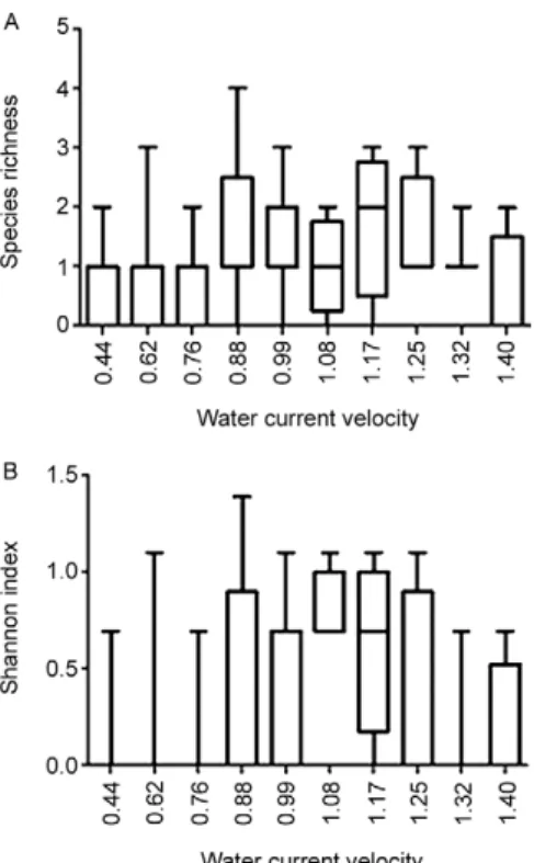 Fig.  6:  detrended  correspondence  analysis  ordination  diagrams  of  species from the survey sites along the water current velocity gradient  (axis 1: eigenvalues = 0.31; axis 2: eigenvalues = 0.031) showing three  distinct  groups:  species  associate